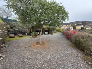 190039 (5)